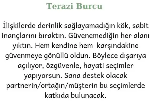 ik4 (8).webp