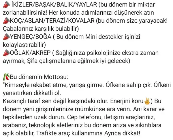 ik41 (2).webp
