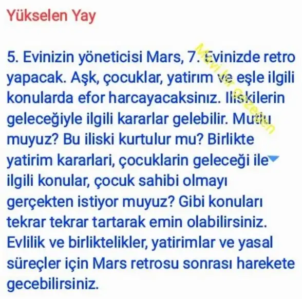 ik42 (10).webp