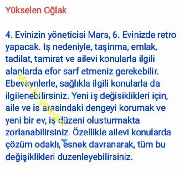 ik42 (11).webp