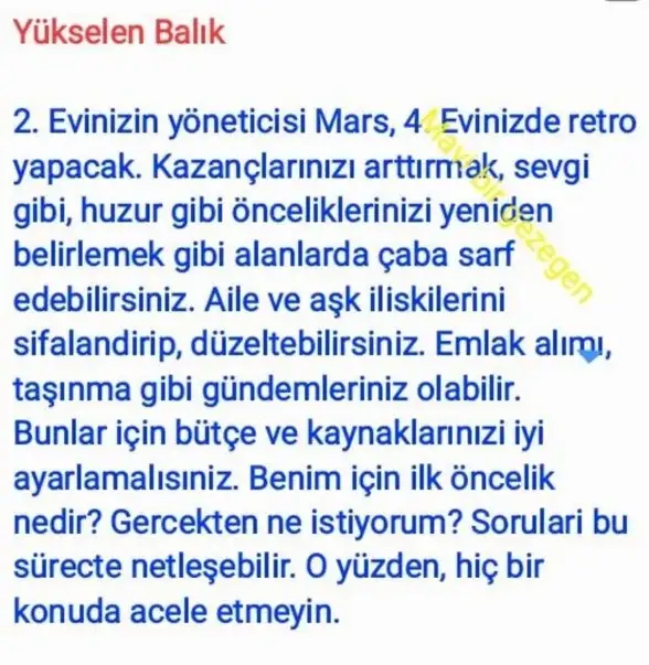 ik42 (13).webp