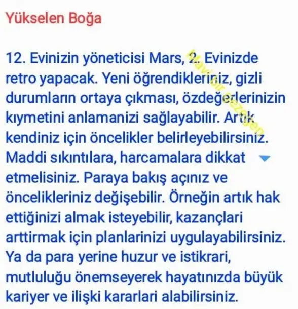 ik42 (3).webp