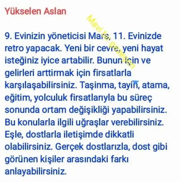 ik42 (6).webp