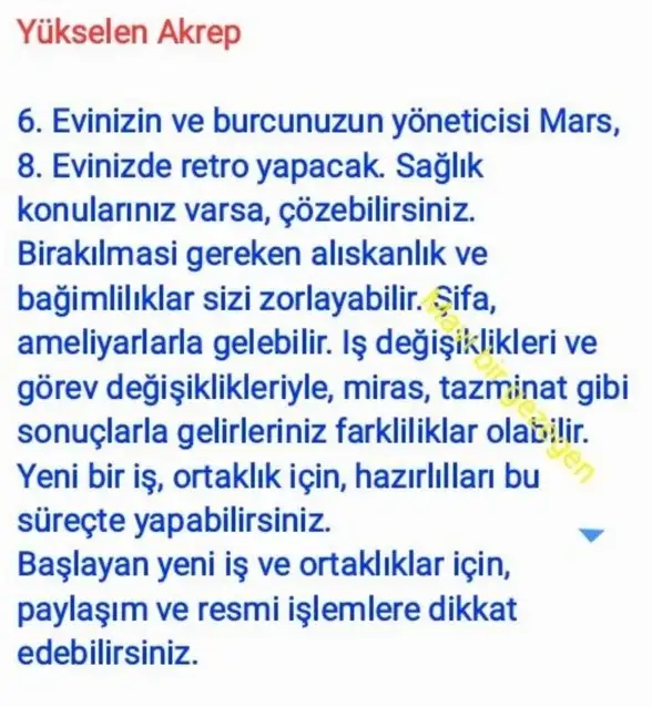 ik42 (9).webp