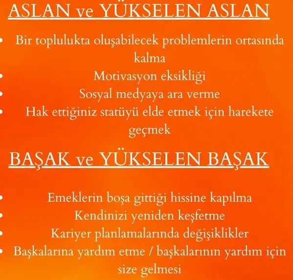 ik43 (4).webp