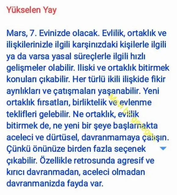 ik52 (11).webp
