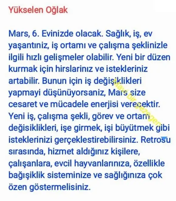 ik52 (12).webp
