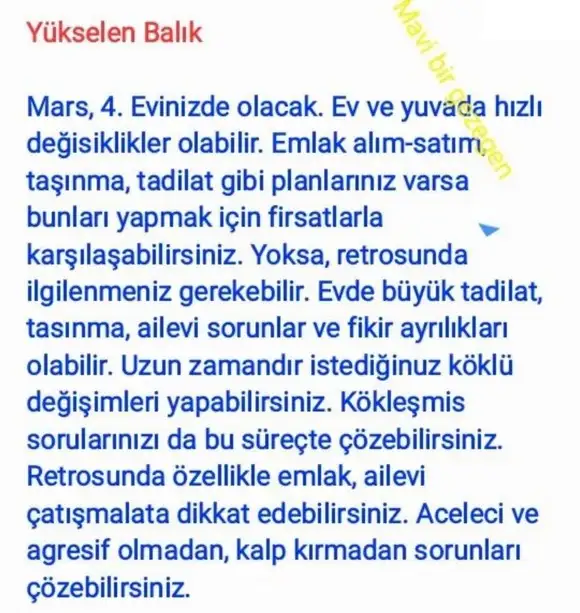 ik52 (14).webp