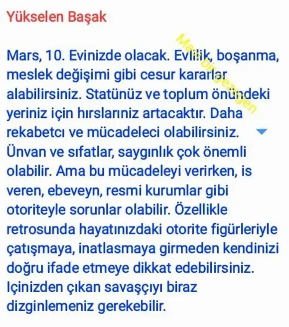 ik52 (8).webp