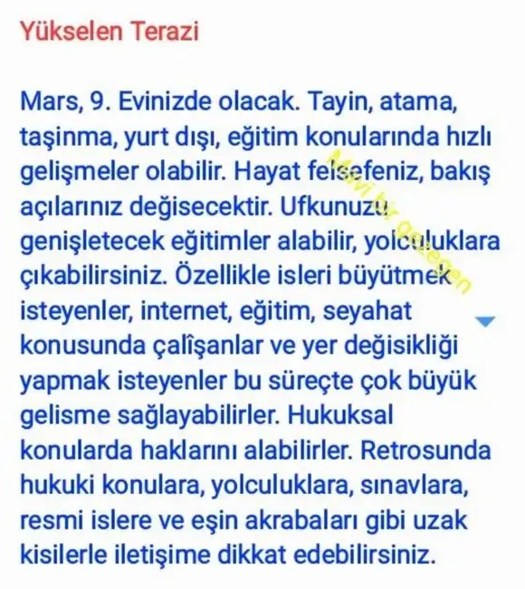 ik52 (9).webp