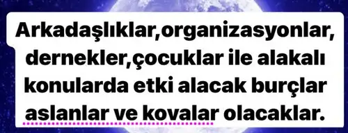ik6 (6).webp