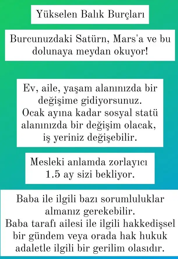 ik8 (12).webp