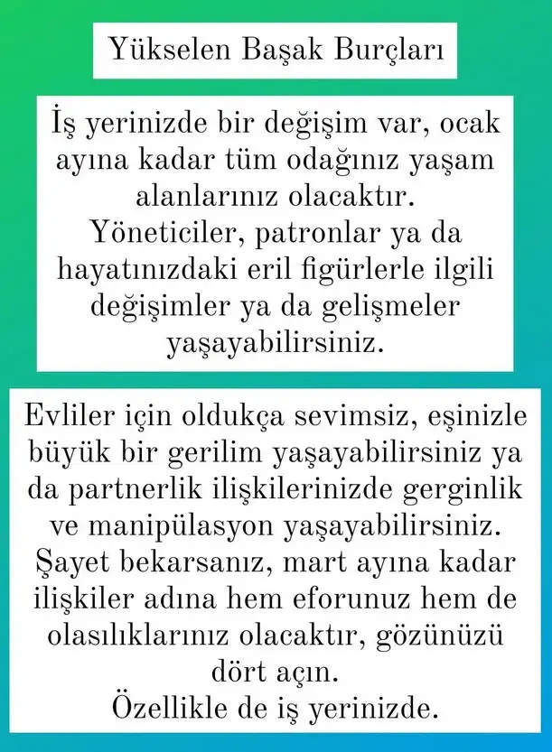 ik8 (6).webp