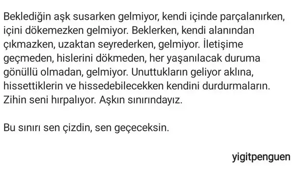 ik82 (4).webp