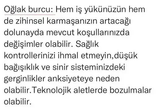ik9 (13).webp