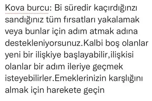 ik9 (14).webp