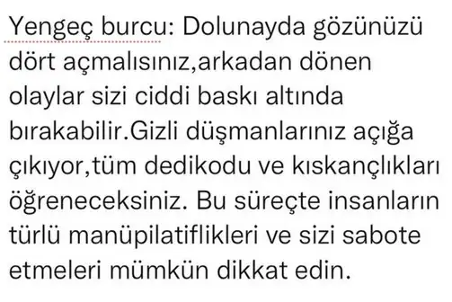 ik9 (6).webp