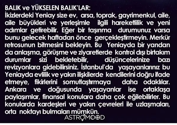 iki (12).webp