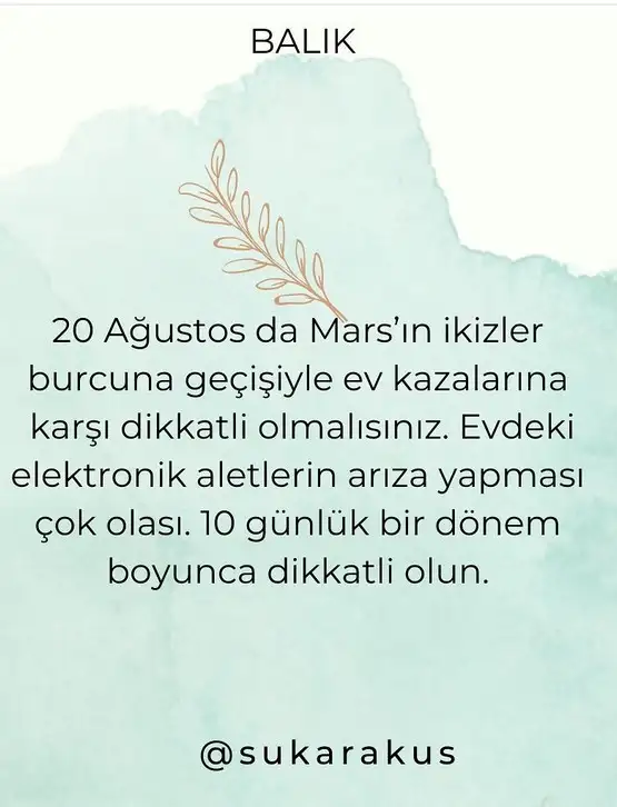 ikiz (12).webp