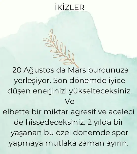ikiz (3).webp