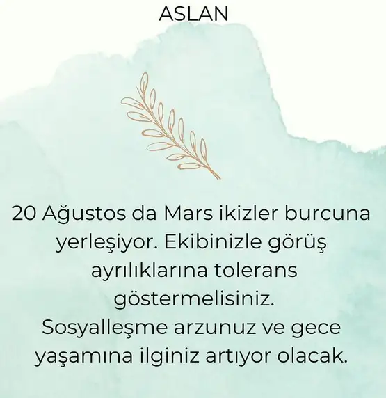 ikiz (5).webp