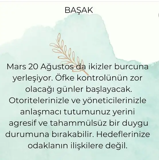 ikiz (6).webp