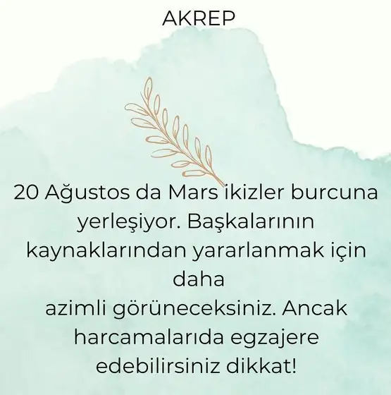 ikiz (8).webp