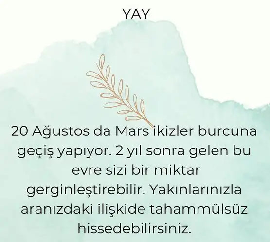 ikiz (9).webp