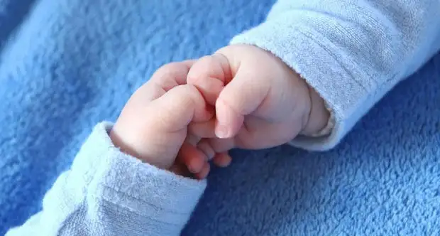 ikiz_bebek.webp