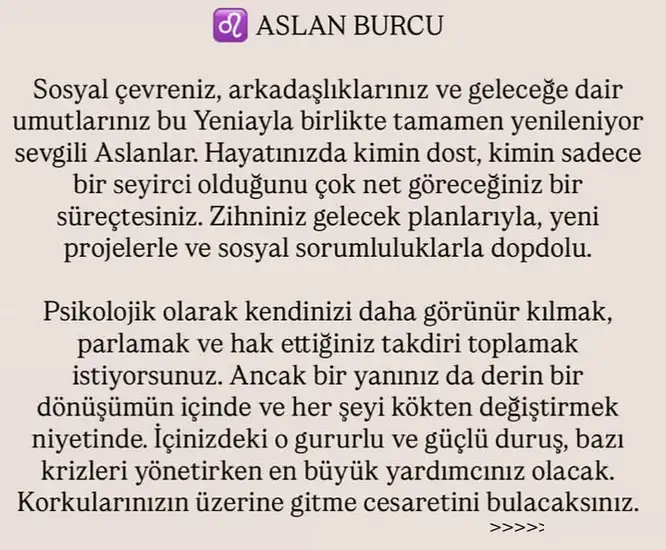 ikizler yeniayı1 (10).webp