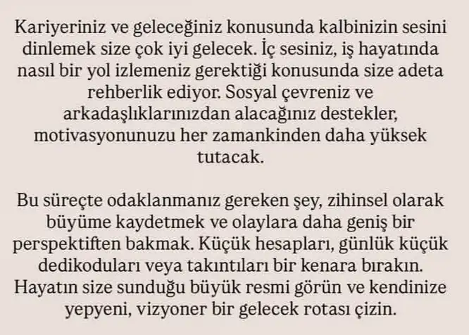 ikizler yeniayı1 (15).webp