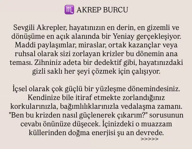 ikizler yeniayı1 (16).webp
