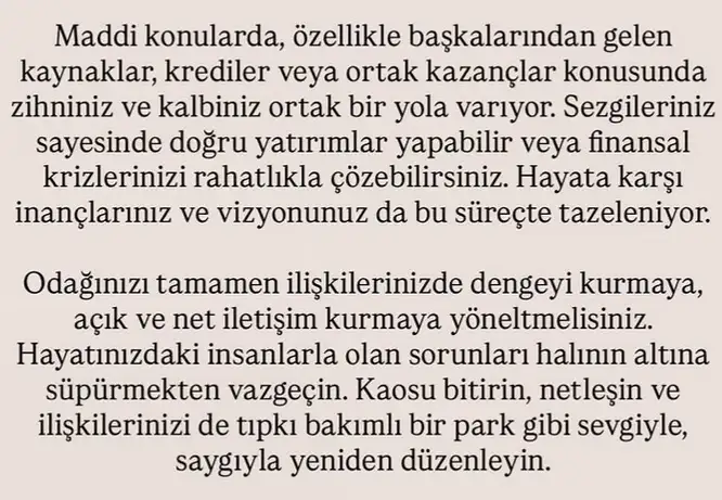 ikizler yeniayı1 (19).webp