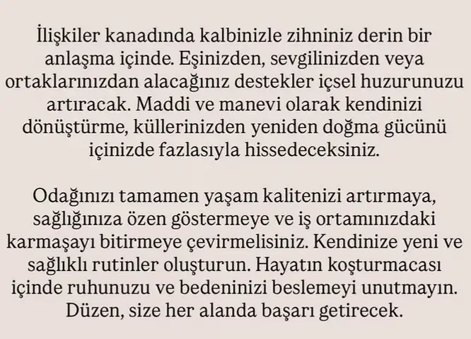 ikizler yeniayı1 (21).webp