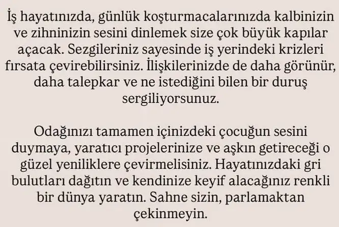 ikizler yeniayı1 (23).webp