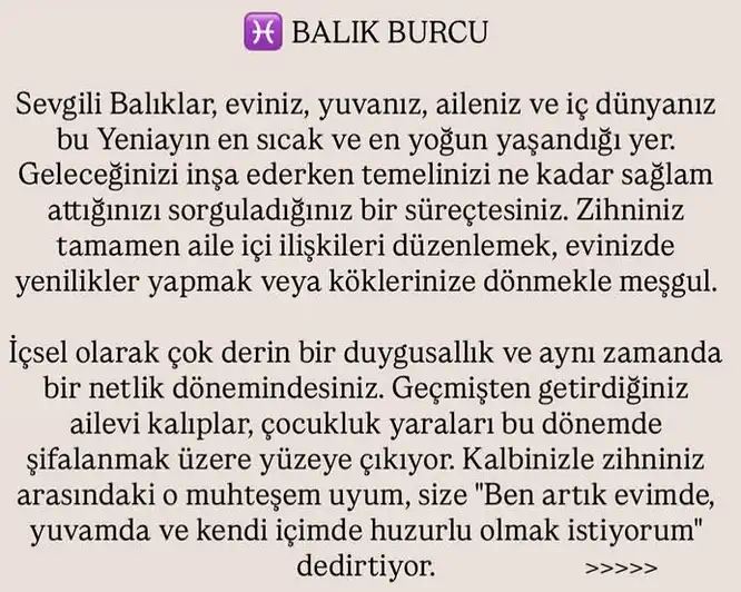ikizler yeniayı1 (24).webp