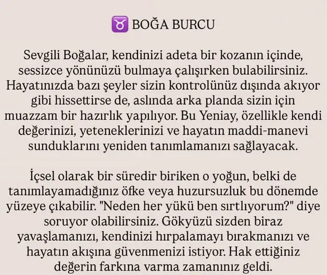 ikizler yeniayı1 (4).webp