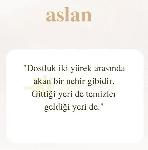 ikizler1 (10).webp