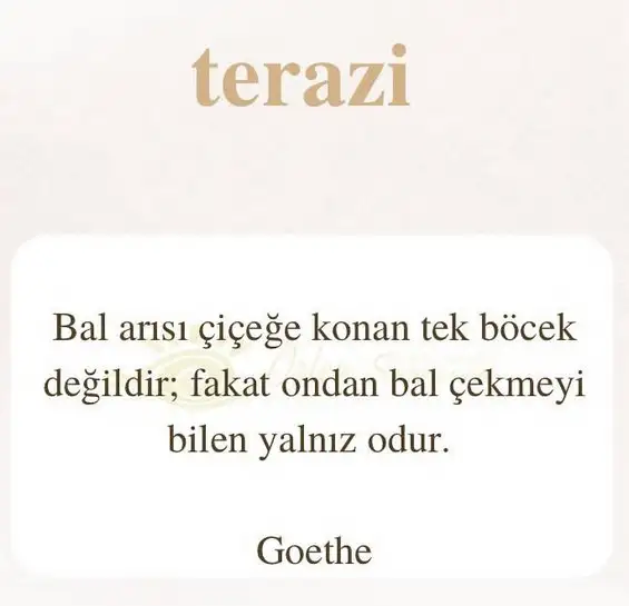 ikizler1 (14).webp