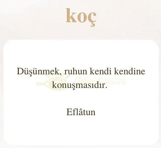 ikizler1 (2).webp