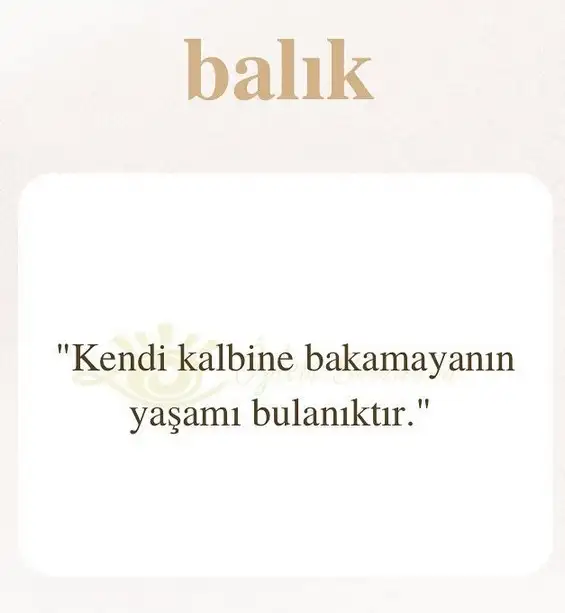 ikizler1 (24).webp