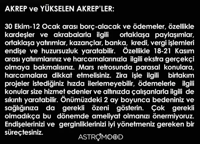 ikizler2 (8).webp