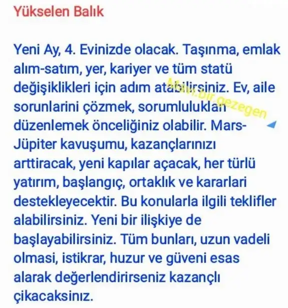ikizler40 (14).webp