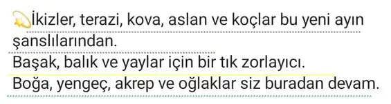 ikizler45 (3).webp