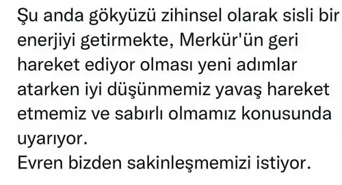 ikizler6 (7).webp
