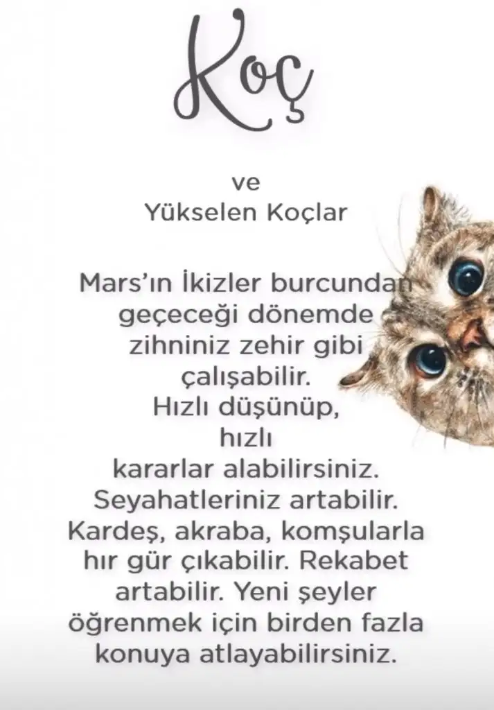 ikizz (1).webp