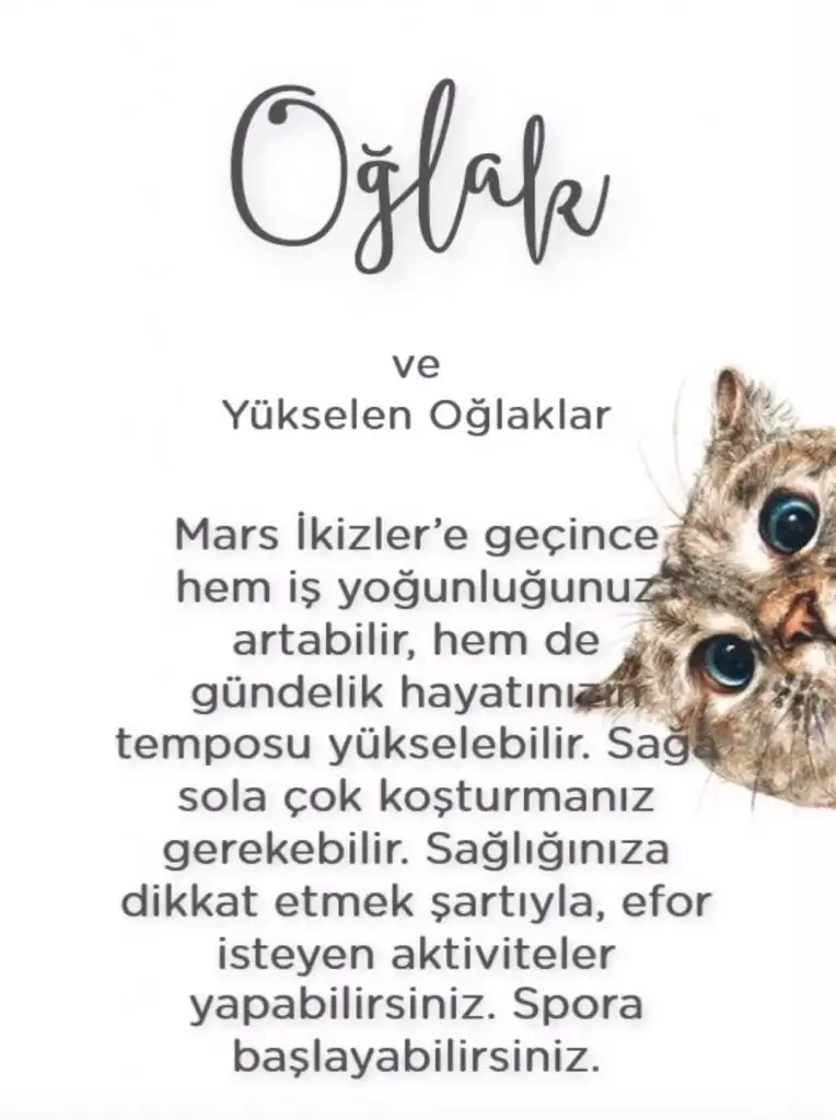 ikizz (10).webp