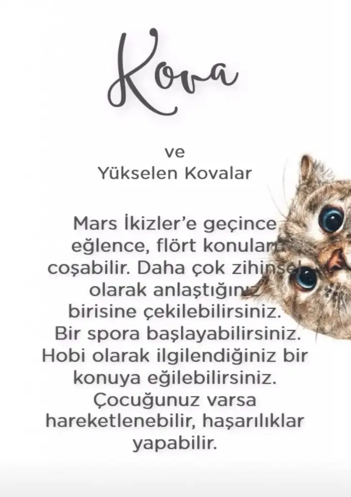 ikizz (11).webp