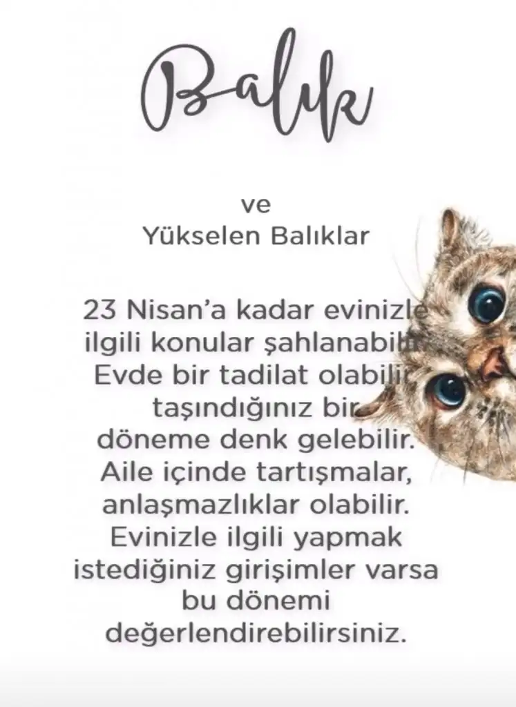 ikizz (12).webp