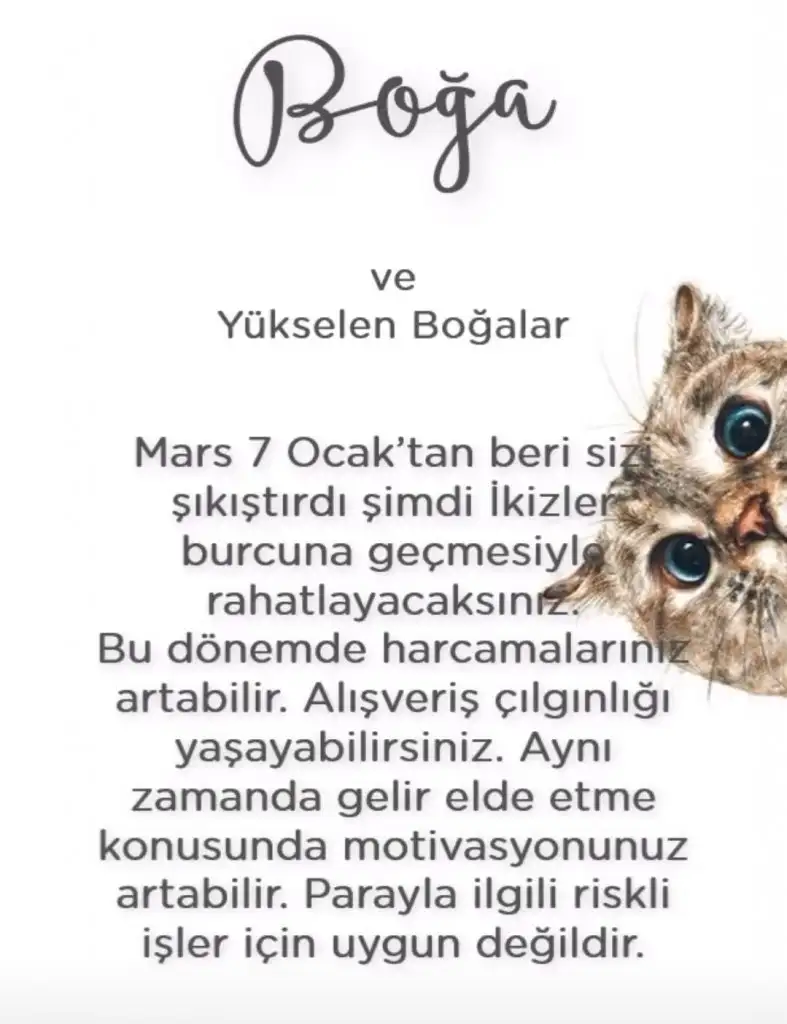 ikizz (2).webp